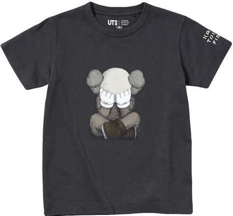 kaws t shirt price.